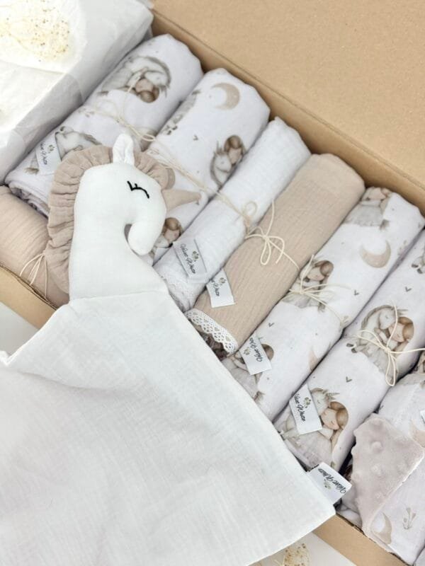 Baby Box Princess