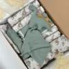 Baby Box Dinosaur