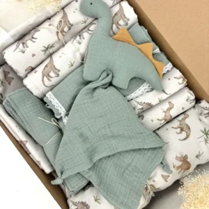 Baby Box Dinosaur